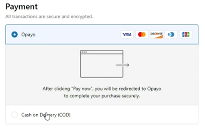 Payment with Opayo option visible